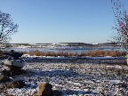 image/_fugle_roskilde_fjord-437.jpg