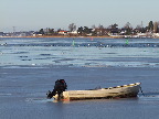 image/_fugle_roskilde_fjord-447.jpg