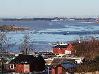 image/_fugle_roskilde_fjord-451.jpg