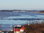 image/_fugle_roskilde_fjord-453.jpg