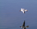 image/_haettemaage-94.jpg