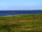 image/_hvalpsund-147.jpg