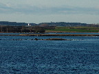 image/_roskilde_fjord-53.jpg