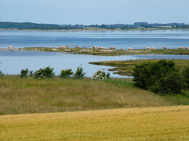 image/roskilde_fjord-43.jpg