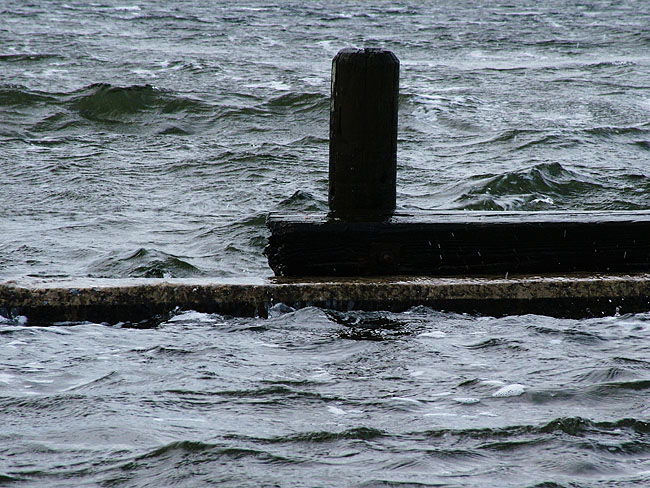 image/roskilde_fjord-79.jpg