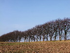 image/_laehegn-800.jpg