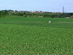image/_landskab-0023.jpg