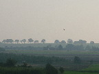 image/_landskab-0113.jpg