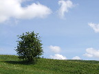 image/_landskab-0185.jpg