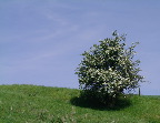 image/_landskab-073.jpg