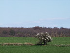 image/_landskab-200.jpg