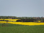 image/_landskab_marker-760.jpg