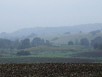 image/_landskab_morgendis-17.jpg