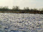 image/_landskab_vinter-21.jpg