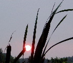 image/_solnedgang_dunhammer-1.jpg