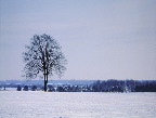 image/_vinter_landskab-12.jpg