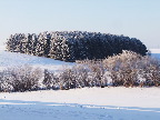 image/_vinter_landskab-561.jpg