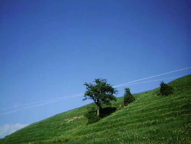 image/landskab-001.jpg