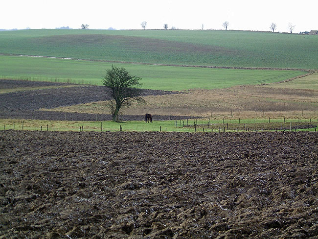 image/landskab-018.jpg