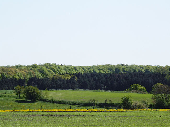 image/landskab-115.jpg