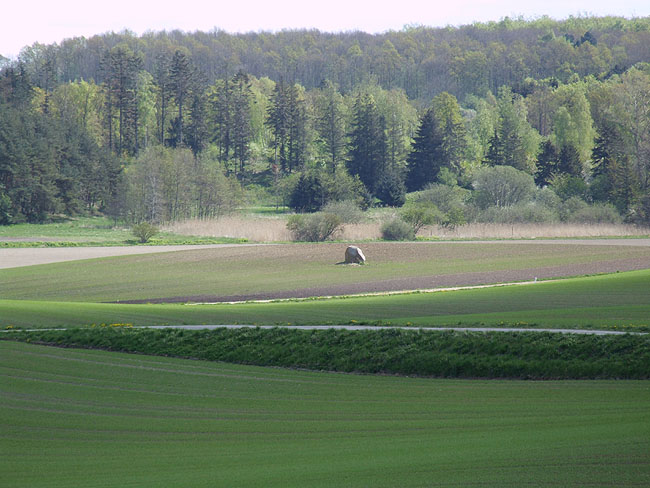 image/landskab-121.jpg