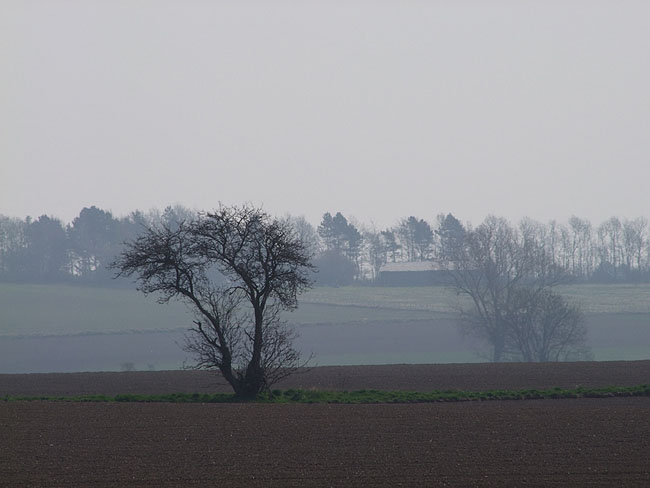image/landskab-151.jpg