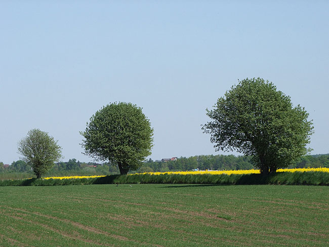 image/landskab-173.jpg