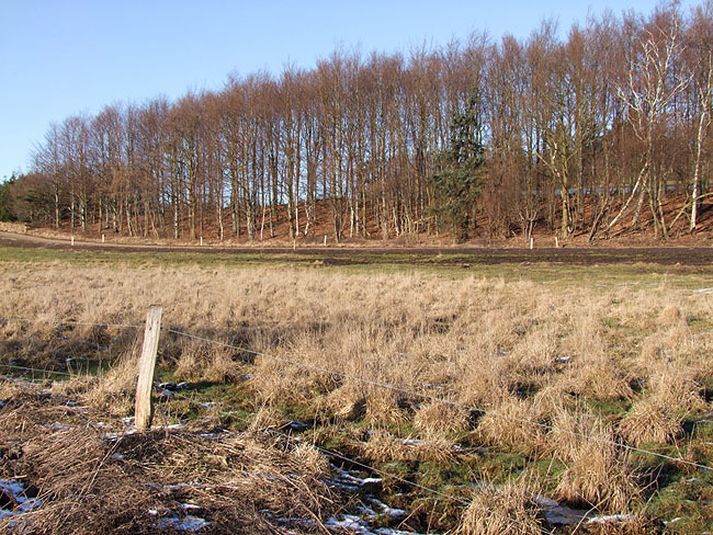 image/landskab-191.jpg