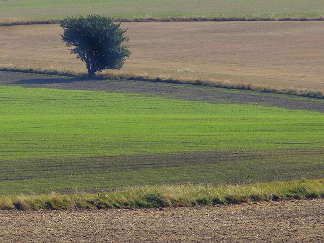 image/landskab-194.jpg