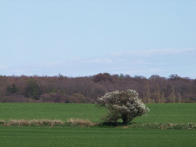 image/landskab-200.jpg