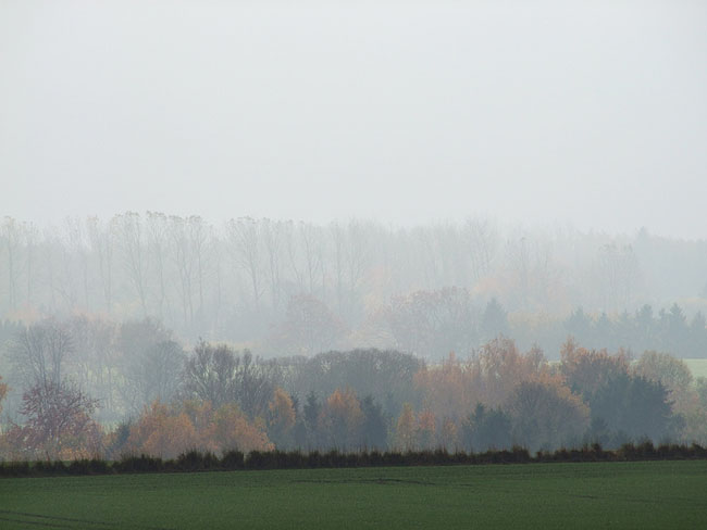 image/landskab-212.jpg