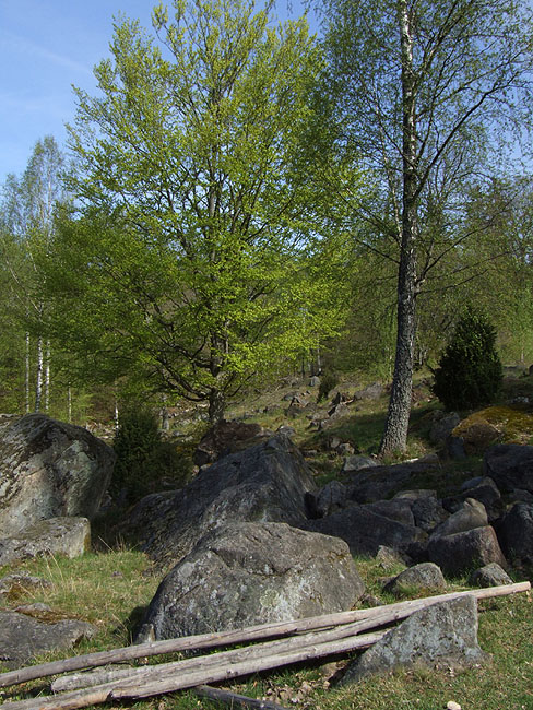 image/landskab-233.jpg