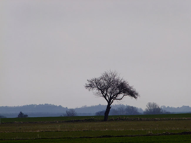 image/landskab-237.jpg