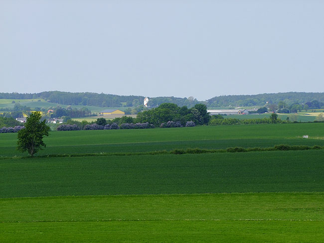 image/landskab-253.jpg