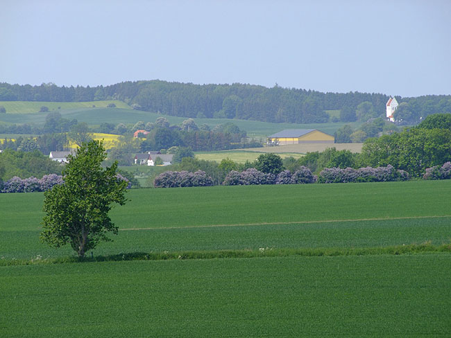 image/landskab-266.jpg