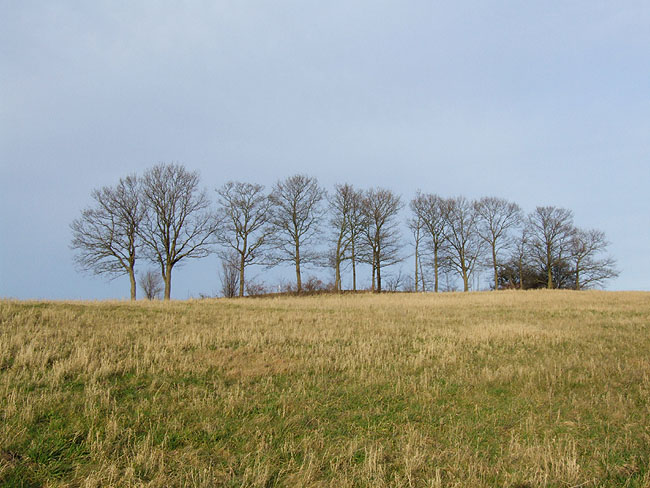 image/landskab-305.jpg