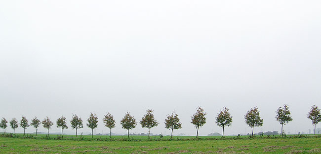 image/landskab_alle-06.jpg