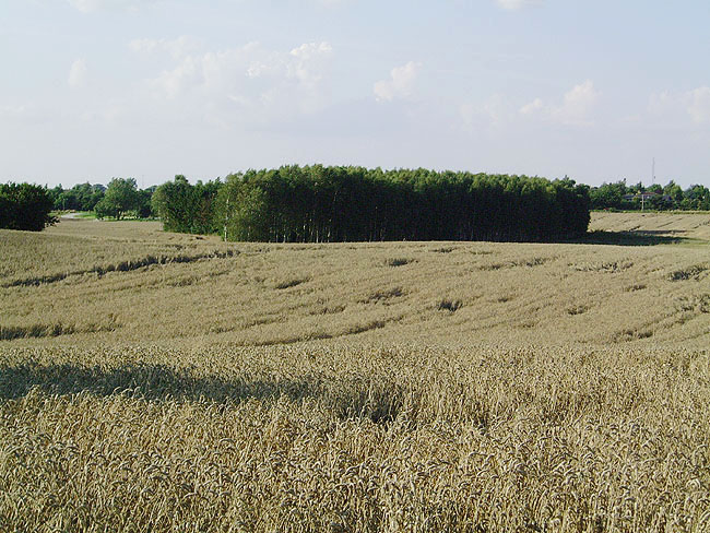 image/landskab_marker-13.jpg