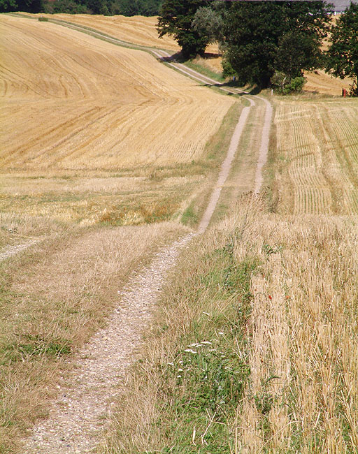 image/markvej-01.jpg
