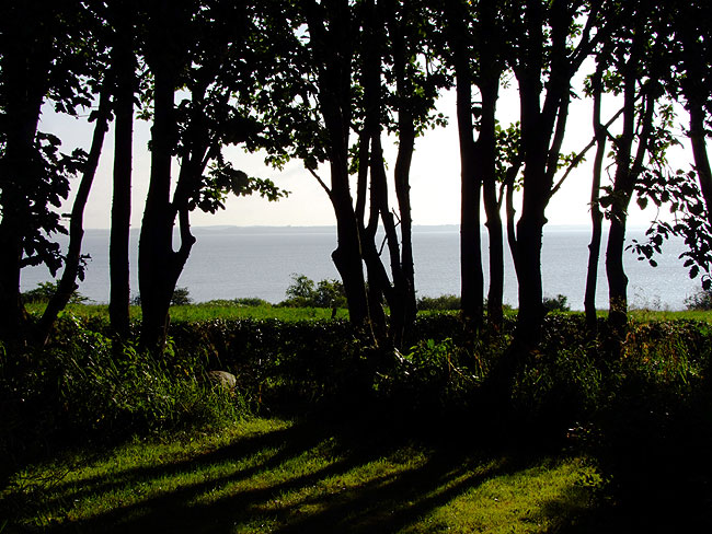 image/morgensol-191.jpg