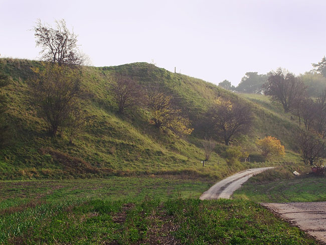 image/skuldelev-aas-926.jpg
