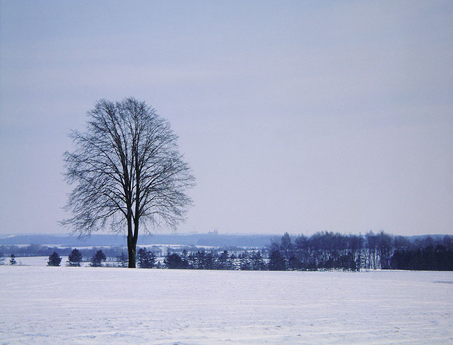 image/vinter_landskab-12.jpg