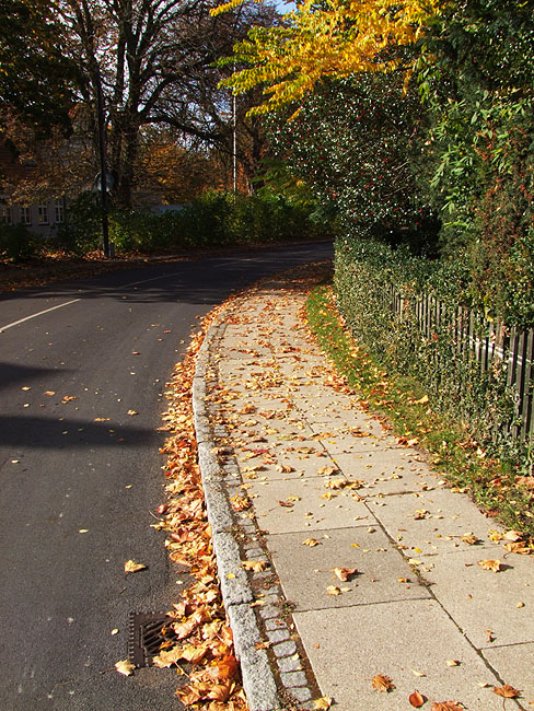 image/efteraar-80.jpg