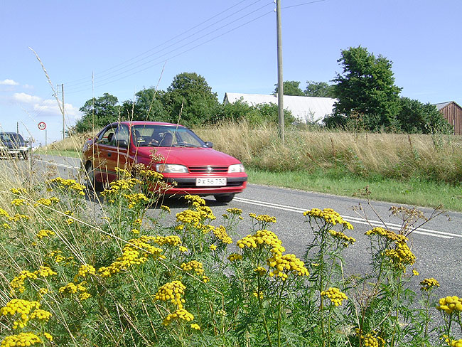 image/groeftekanten_blomster-61.jpg