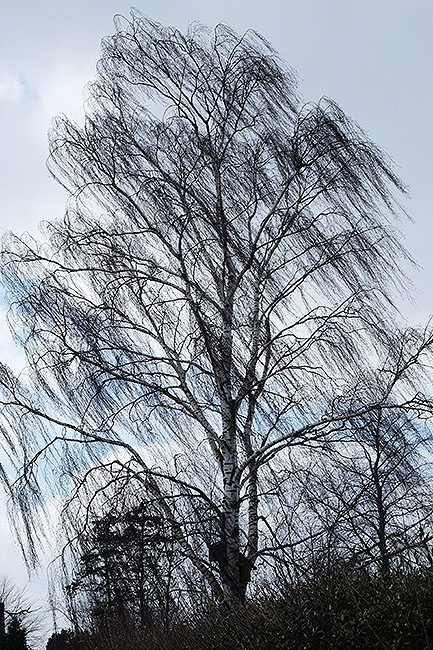 image/oestenvind-9668.jpg