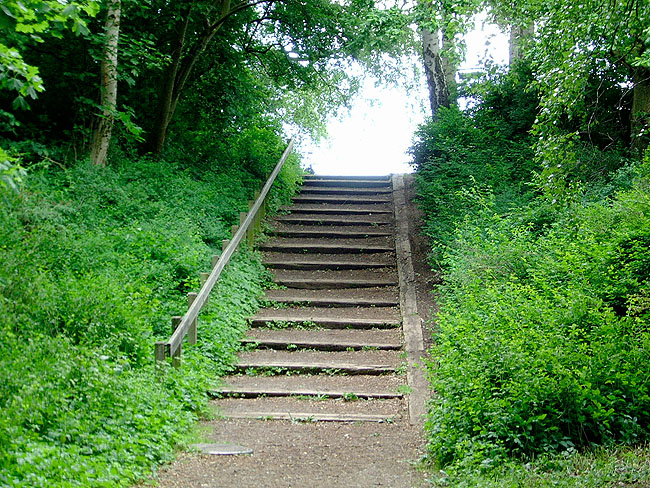 image/trappe-70.jpg