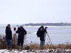 image/_oernes_dag_2013-482.jpg