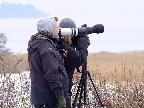 image/_oernes_dag_2013-499.jpg