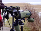 image/_oernes_dag_2013-509.jpg