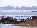 image/_oernes_dag_2013-515.jpg